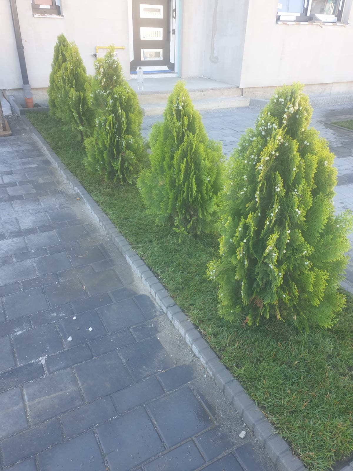 Imagine 14 - Lucrări profesionale de calitate