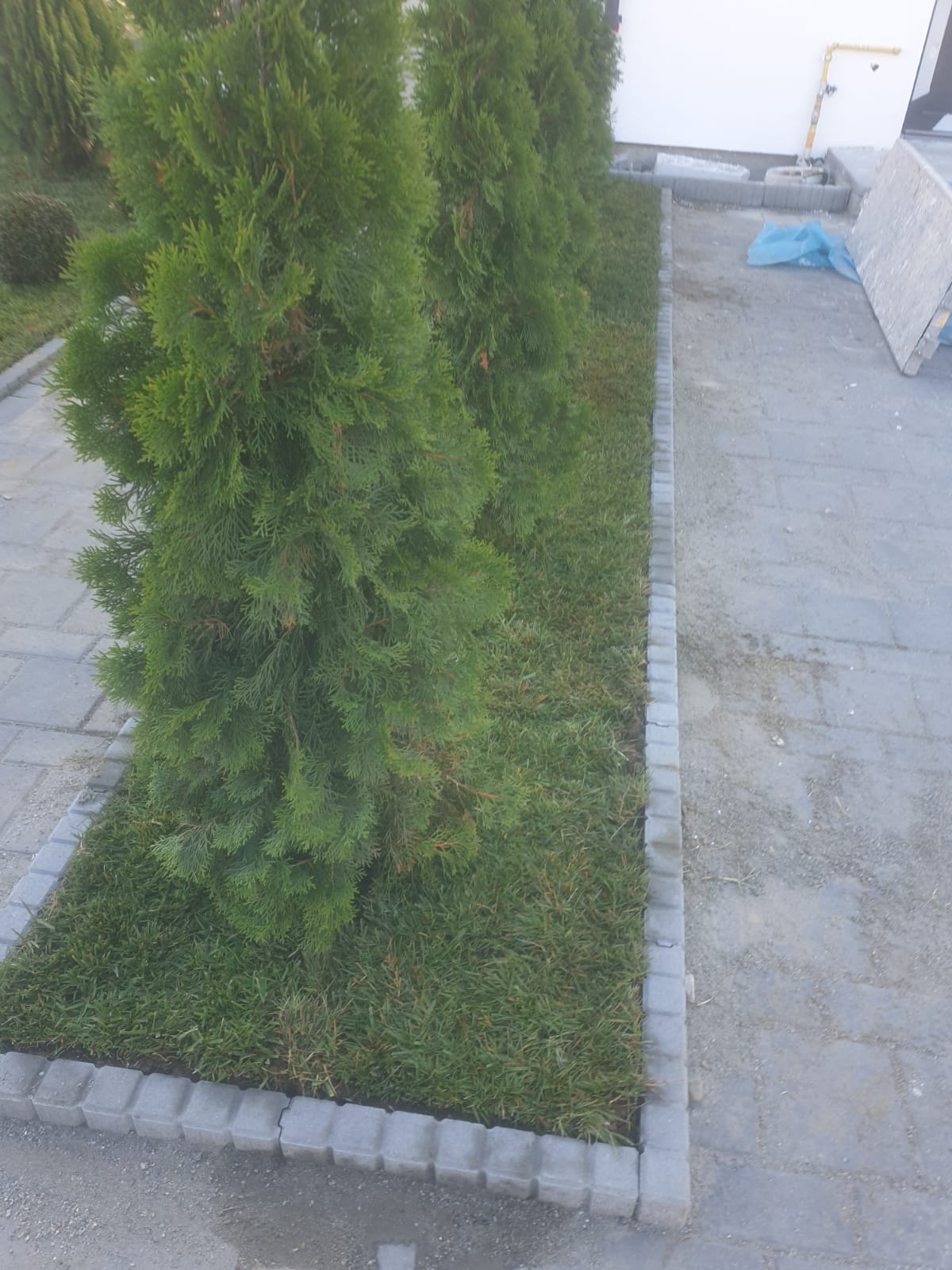 Imagine 17 - Lucrări profesionale de calitate